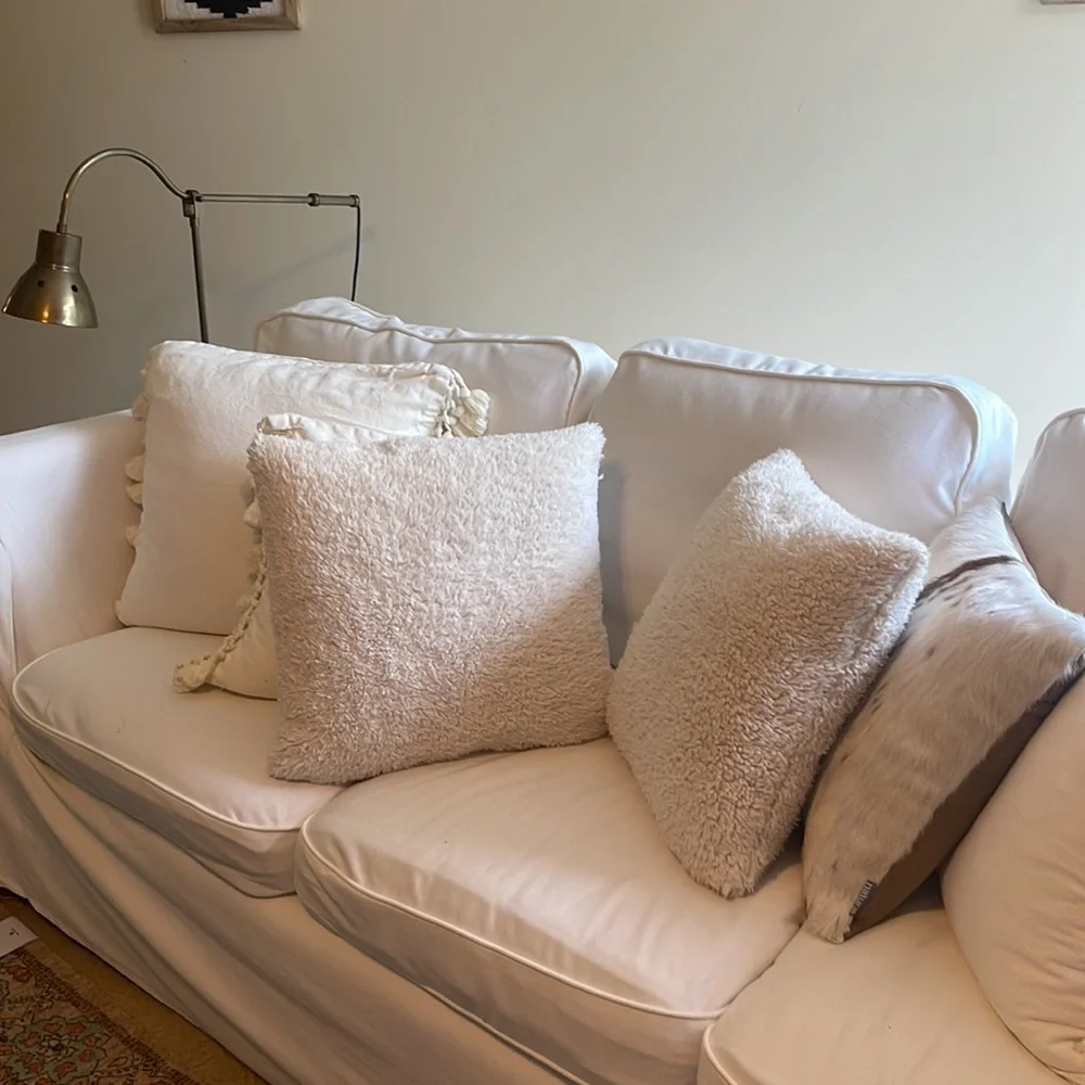 Pottery barn 2 pillows
